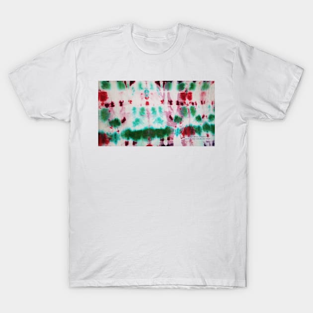 Fruit Cake Cross Section T-Shirt by ajbruner77